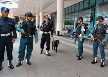 Denpom Lanal Banten Kerahkan Unit K-9 untuk Cegah Penyelundupan Narkoba