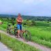 Gowes Sepeda Sambil Menikmati Keindahan Desa Jatiluih
