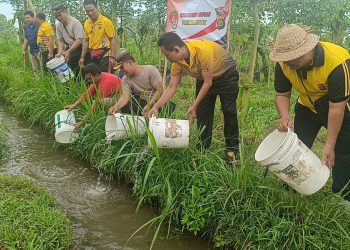 Dukung Ketahanan Pangan,  Polsek Blahbatuh Tebar Ribuan Bibit Lele di Wake Farm House