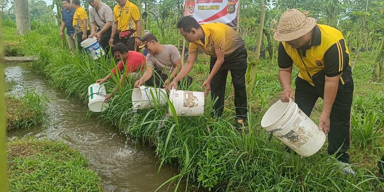 Dukung Ketahanan Pangan,  Polsek Blahbatuh Tebar Ribuan Bibit Lele di Wake Farm House