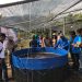 Akademisi Unwar Rekomendasikan Petani Ikan Manfaatkan Teknologi Bioflok