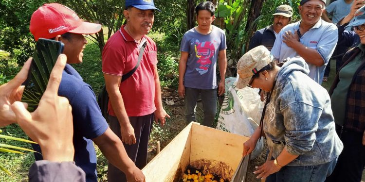 Kurangi Pemakaian Pupuk anoragnik, Petani Jeruk Bayung Gede Manfaatkan Limbah Jeruk Jadi Pupuk Organik