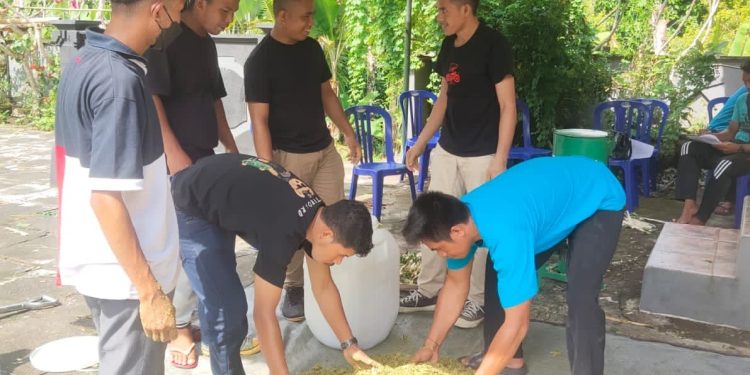 Unwar Rekomendasikan Pemanfaatan Ubi Talas untuk Pakan Ternak Ayam Kampung