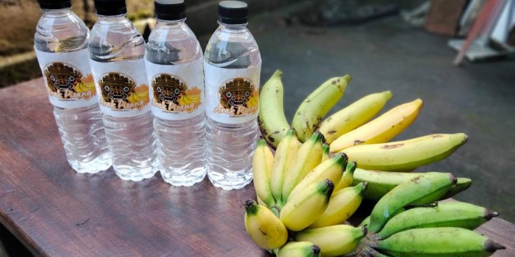 Tingkatkan Nilai Ekonomi Pisang, Petani Diminta Olah Jadi Arak