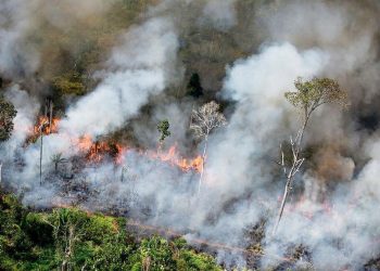 BPBD Buleleng Ingatkan Masyarakat Potensi Kekeringan dan Kebakaran Lahan Dampak El Nino