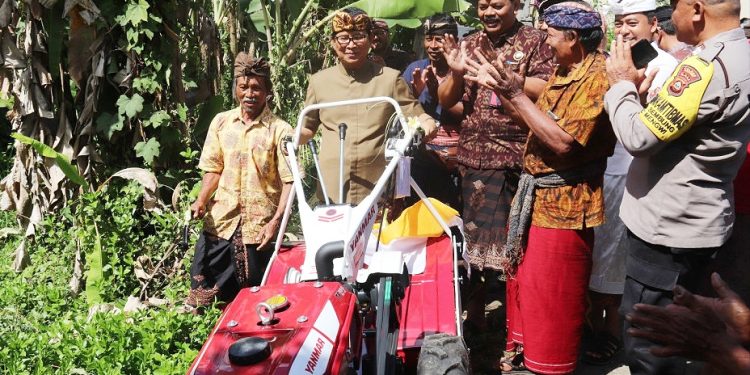 Tingkatkan Hasil Produksi, Pemkab Badung Serahkan Bantuan 4 Mesin Traktor kepada Petani