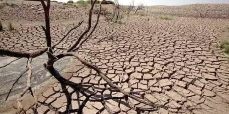 Antisipasi Kekurang Pangan Dampak El Nino, Pemerintah Siapkan Anggaran Rp 8 Triliun