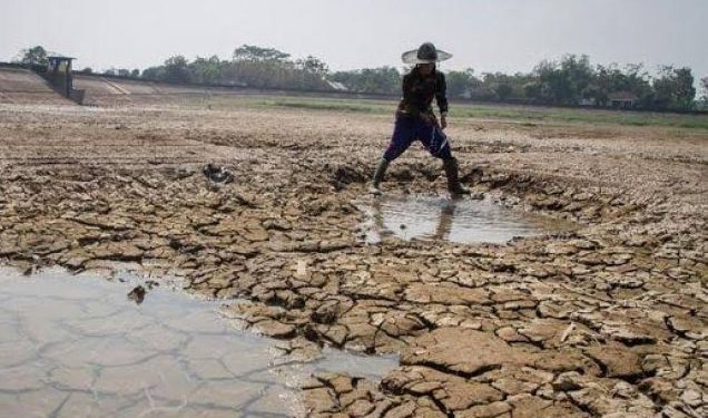 Presiden Minta Antisipasi Dampak El Nino