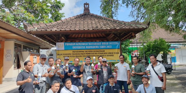 Tingkatkan Produktivitas, FP UNWAR Dorong Peternak Babi Gunakan Pakan Fermentasi