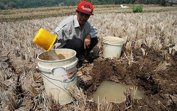 BPBD Jembrana Catat Lima Wilayah di Tiga Kecamatan Alami Kekeringan Dampak El Nino