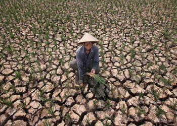 Satu Bulan Tak Turun Hujan, Kota Denpasar Berstatus Siaga Kekeringan Ekstrem