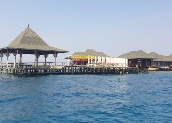 Propam Mabes Polri Diminta Usut Dugaan Illegal Logging di Pulau Tengah Karimunjawa