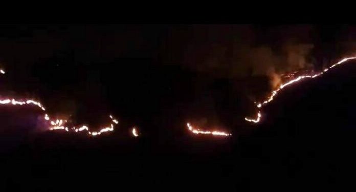 Pipa Air Minum Sepanjang 6 Km Rusak, Dampak Kebakaran Hutan di Jati Tuhu Karangasem