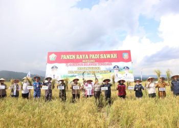 Pj Gubernur Sultra : Panen Raya di Konawe Selatan Hasilkan 2.876,4 Ton Padi