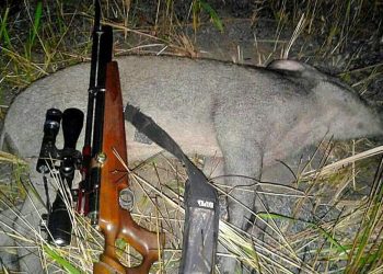 Polisi Tetapkan Tiga Pelaku Kasus Perburuan Liar di TNBB Buleleng DPO