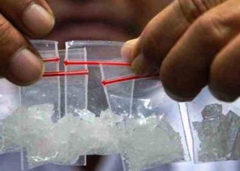 BNNK Badung Tangkap Kurir Narkoba Jaringan Malang-Bali