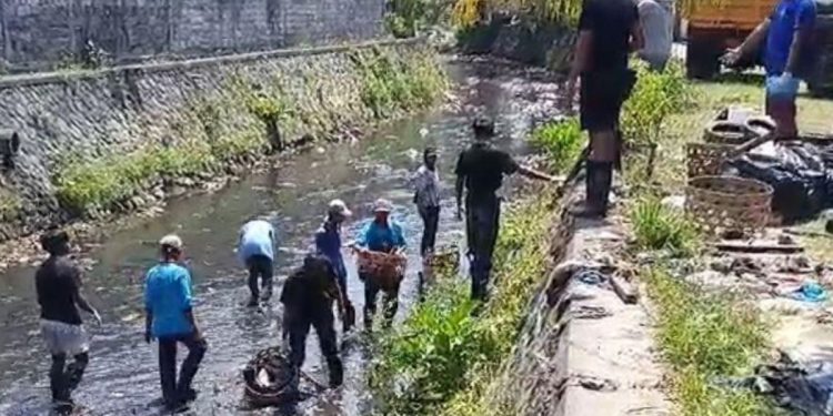 Cegah Bajir dan DBD,  Pemkot Denpasar Gencar Bersihkan Sampah Sungai 