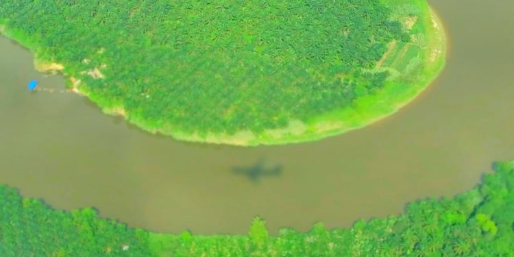 Tahun Depan Pengusaha Sawit yang Merugi Dapat Diskon Pajak 100 Persen, Ini Syaratnya