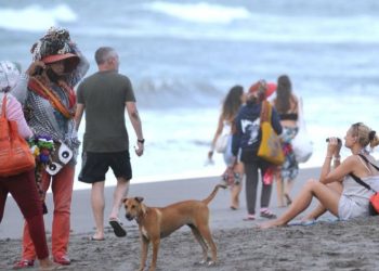 Pemerintah Seleksi 20 Negara yang Akan Dapat Bebas Visa Kunjungan