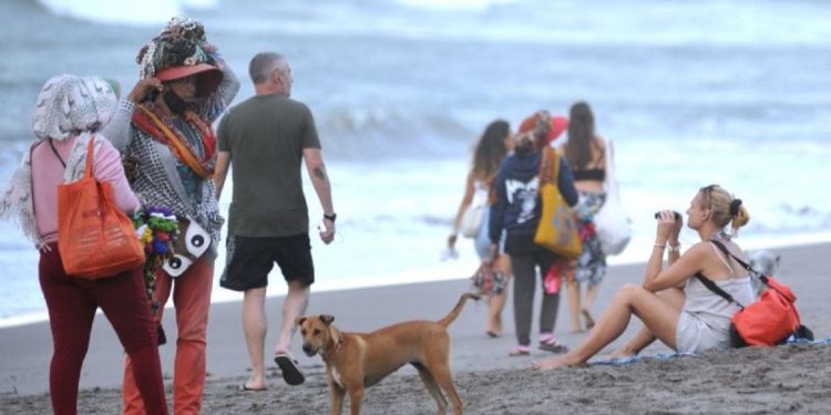 Pemerintah Seleksi 20 Negara yang Akan Dapat Bebas Visa Kunjungan