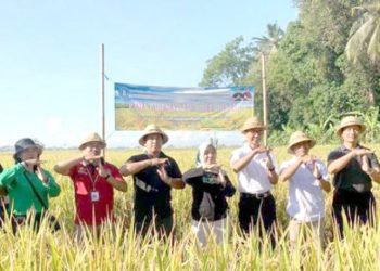 Hingga November 2023, Persediaan Beras di Kabupaten Badung Masih Surplus