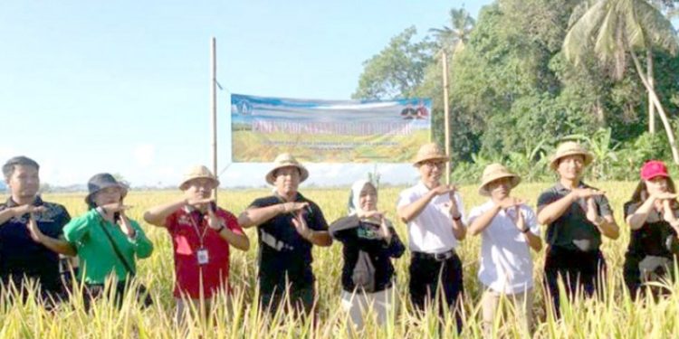 Hingga November 2023, Persediaan Beras di Kabupaten Badung Masih Surplus