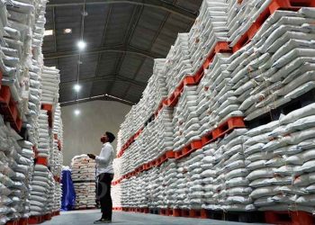 Atasi Defisit, Pemerintah Impor 3 Juta Ton Beras Tahun 2024