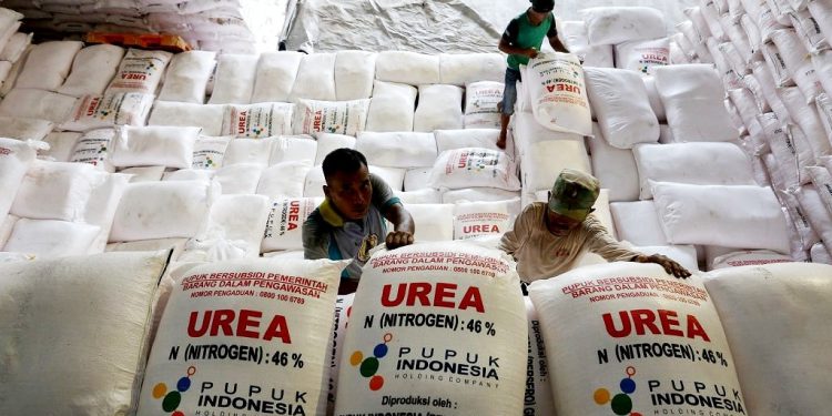 Permintaan Meningkat, Pemerintah Akan Tambah  Quota Pupuk Bersubsidi Jadi 9,5 Ton