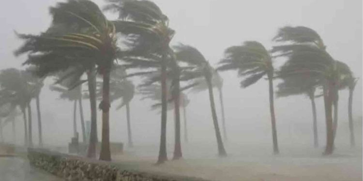 Cuaca Ektrem di Bali Timbulkan 20 Dampak Bencana dalam Sehari