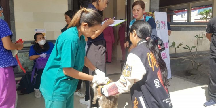 Cegah Penularan, Dinas Pertanian Buleleng Sediakan 15 Ribu Vial Vaksin Rabies