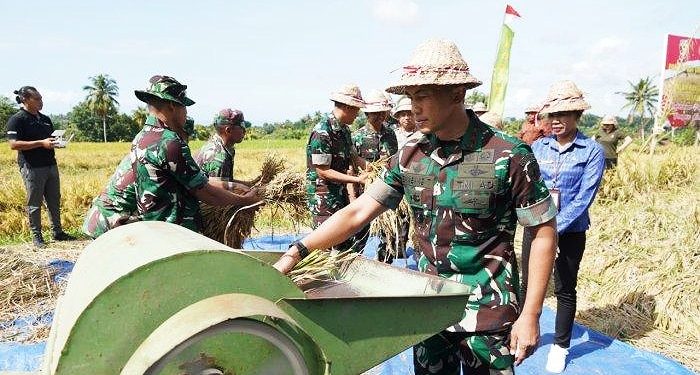 Wujudkan Swa Sembada Pangan, Pangdam IX/Udayana Panen Raya Padi di Desa Sidan