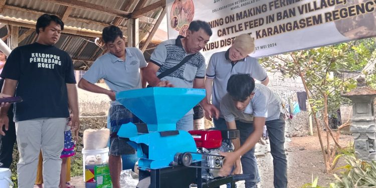Peternak Sapi Diminta Kreatif Manfaatkan Limbah Pertanian Atasi Kekurangan Ransum di Musim Kerin