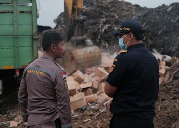 Bea Cukai Tanjung Emas Musnahkan 1.850 Karton Kepiting Impor Tak Bertuan