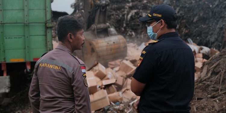 Bea Cukai Tanjung Emas Musnahkan 1.850 Karton Kepiting Impor Tak Bertuan