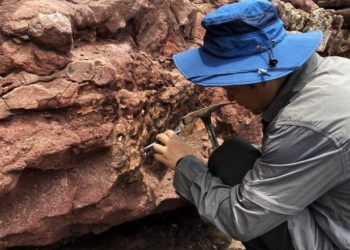 Fosil Dinosaurus Ditemukan di Port Island Hongkong Diperkirakan dari Jaman Kapur Sekitar 65 Juta Tahun Lalu