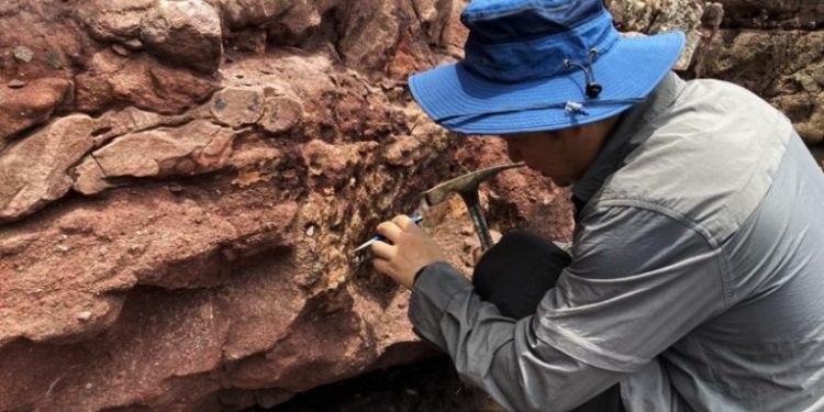 Fosil Dinosaurus Ditemukan di Port Island Hongkong Diperkirakan dari Jaman Kapur Sekitar 65 Juta Tahun Lalu