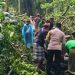 Dua WNA Tewas Tertimpa Pohon Tumbang di Monkey Forest Ubud