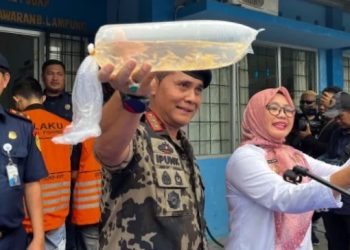 Petugas KKP Gagalkan Penyeludupan 52 Ribu Benih Lobster ke Vietnam
