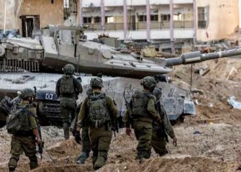 Pengadilan Brazil Perintahkan Penangkapan Tentara Israel yang sedang berlibur  atas Kejahatan Perang di Gaza