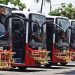 Berenti Beroperasi, para Sopir Bus Trans Metro Dewata Tunggu Kepastian dari Pihak Pengelola Angkutan
