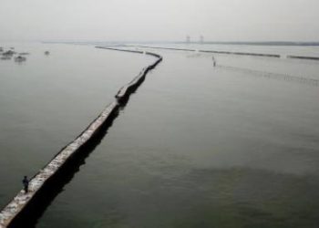 Menteri ATR/BPN Batalkan Status Sertifikat HGB dan SHM Pagar Laut Tanggerang karena Cacat Prosedur