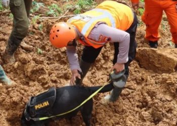 Tim Anjing Pelacak Polda Jateng Temukan Jasad Bayi Tertimbun Longsor di Pekalongan 