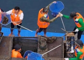 KKP Panen Perdana Budidaya Lobster di Jembrana