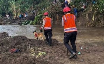 Tim SAR Kerahkan Anjing Pelacak Cari Korban Banjir Bandang di Bima-TNB