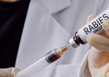 Dinkes Badung Akan Gelar Vaksin Rabies di Tiga Desa Mulai 27-36 Februri