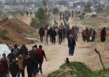 Kanada Tolak Rencana Trump Relokasi Warga Gaza Keluar Wilayahnya 