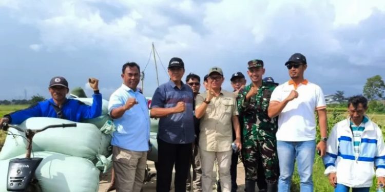 Bulog Pati Serap 1.363 Ton Gabah Petani Sesuai HPP